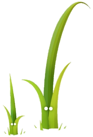 Twig